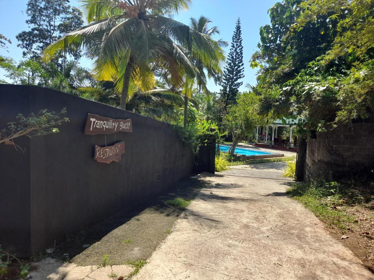 Tranquility Guest House Hikkaduwa Exterior photo