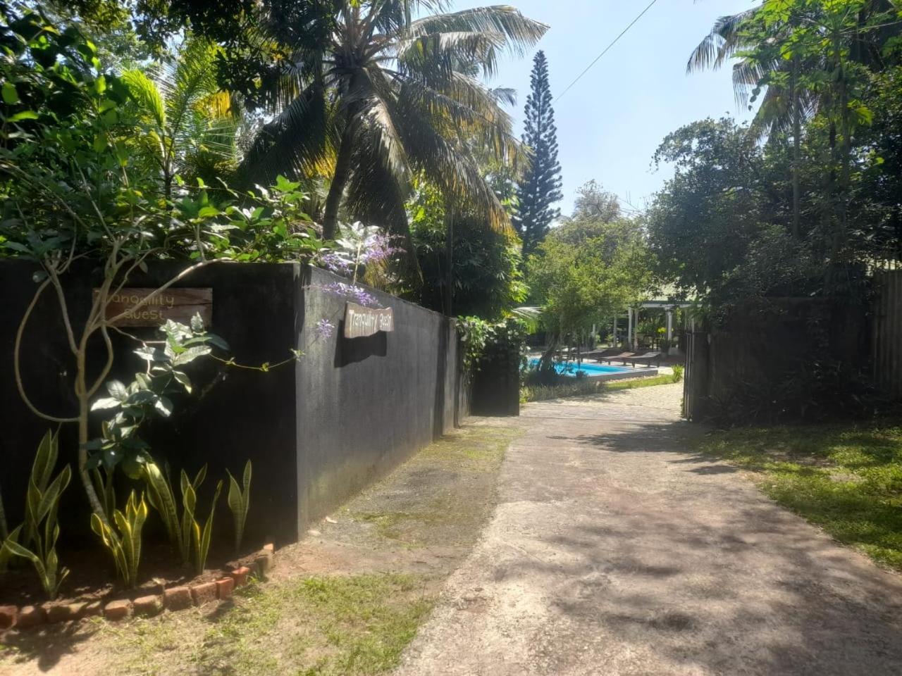 Tranquility Guest House Hikkaduwa Exterior photo
