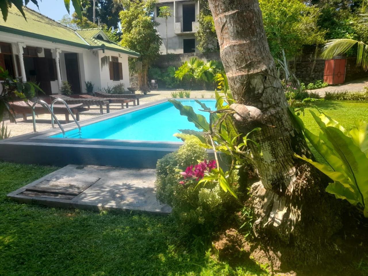 Tranquility Guest House Hikkaduwa Exterior photo